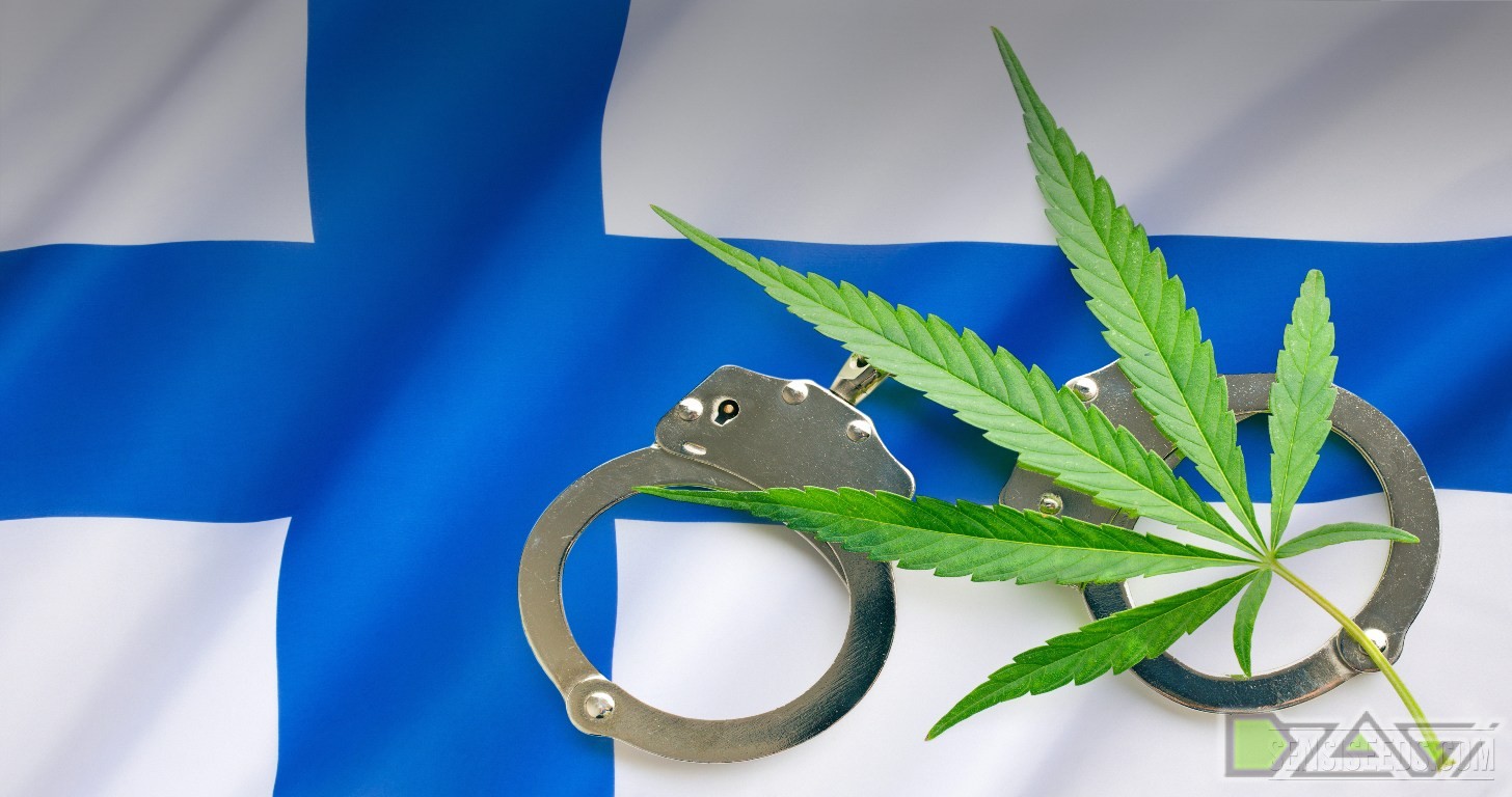 в финляндии легализовали марихуану